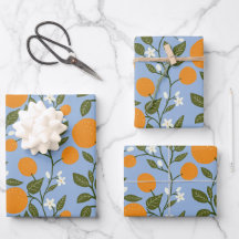 Summer Citrus Oranges Grove Pattern