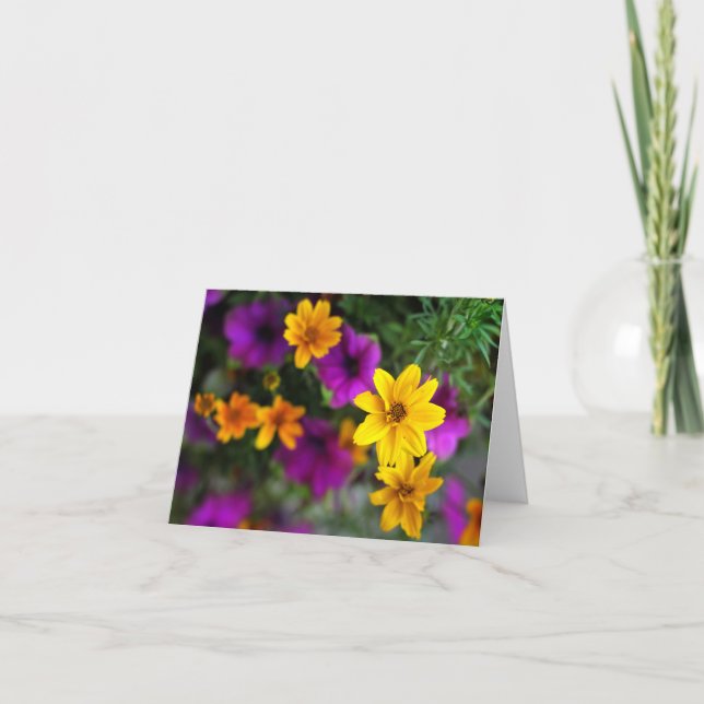 Summer Color Blank Note Cards (Front)