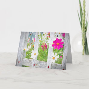 summer cosmos flowers in fence card