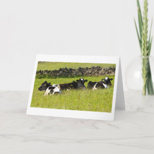 Summer cows Birthday Card