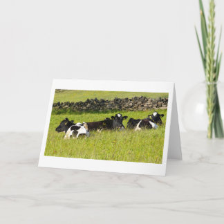 Summer cows Birthday Card