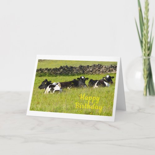 Summer cows Birthday Card