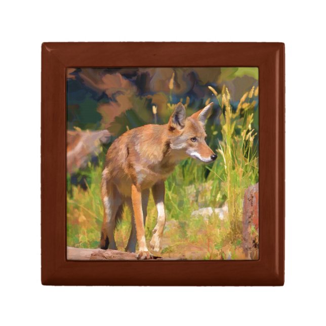 Summer Coyote Wildlife Painting Gift Box (Front)