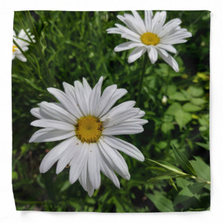 Summer daisies  bandana