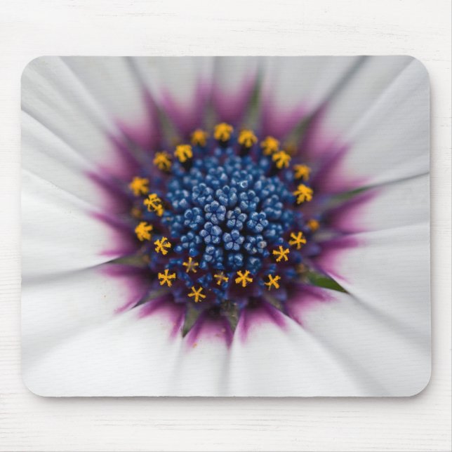 Summer Daisy Close Up Mouse Pad (Front)