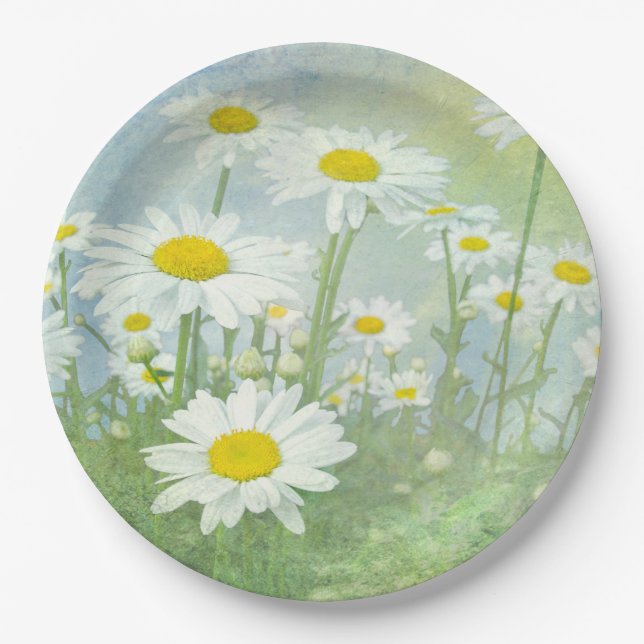 Summer Daisy Field Paper Plates (Front)