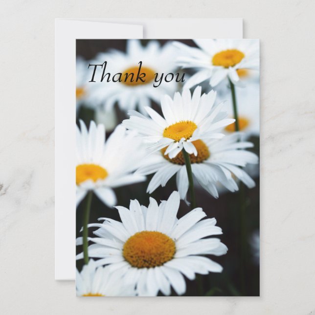 Summer Daisy Flat Thank You Card (Front)