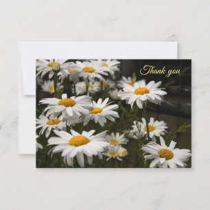 Summer Daisy Flat Thank You Card