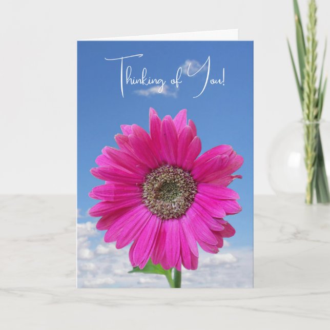 Summer Daisy Pink Thinking Of You Card (Front)