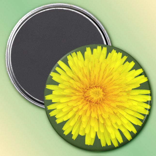 Summer Dandelion Magnet (Creator Uploaded)