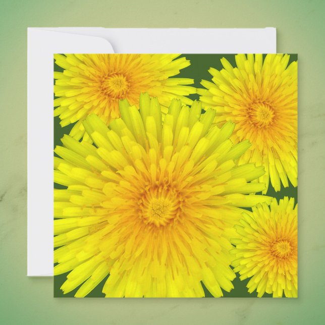 Summer Dandelion Note Card (Creator Uploaded)