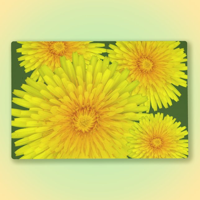 Summer Dandelions Laminated Paper Placemat (Creator Uploaded)