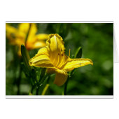 Summer Day (Front Horizontal)