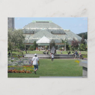 Summer Day in Chicago Postcard
