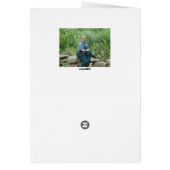 Summer daylilies (Back)