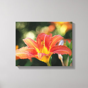 Summer Daylily Canvas Print