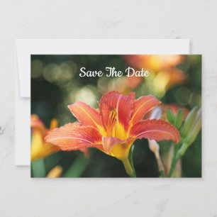 Summer Daylily Flat Save The Date Card