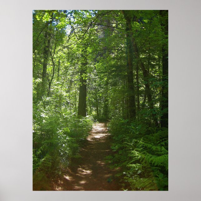 Summer Days (6) Poster (Front)