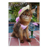 Summer Days Featuring Summer the Cat (Front)