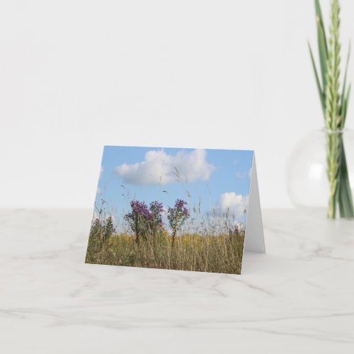 Summer Feild in the Countryside  Holiday Card