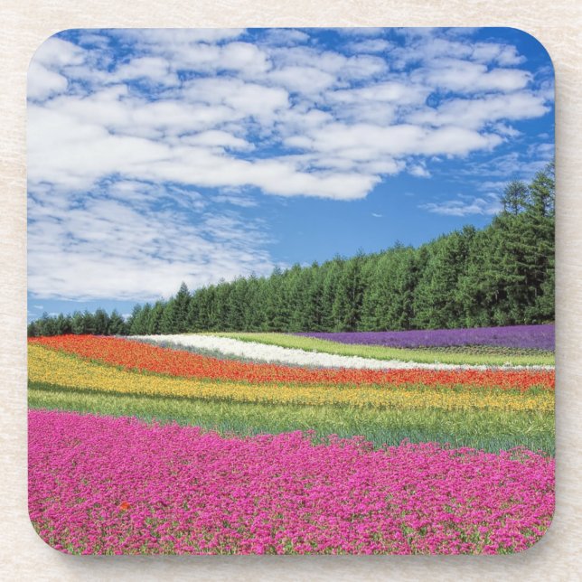 Summer Field Rows of Flowers Beverage Coaster (Front)