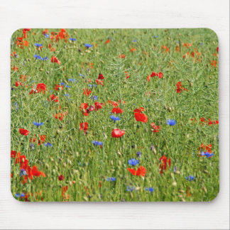 Summer field with red and blue flowers mouse pad