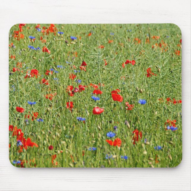 Summer field with red and blue flowers mouse pad (Front)