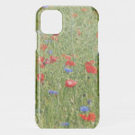 Summer field with red and blue flowers iPhone 11 case
