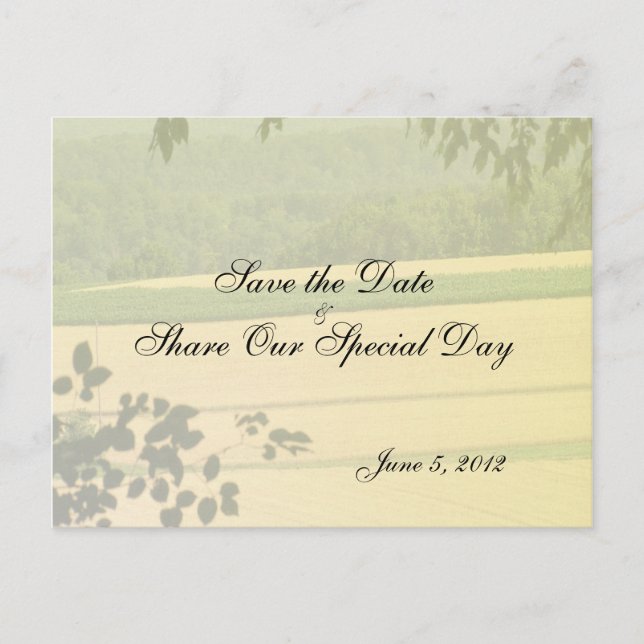 Summer Fields Save the Date Postcard (Front)