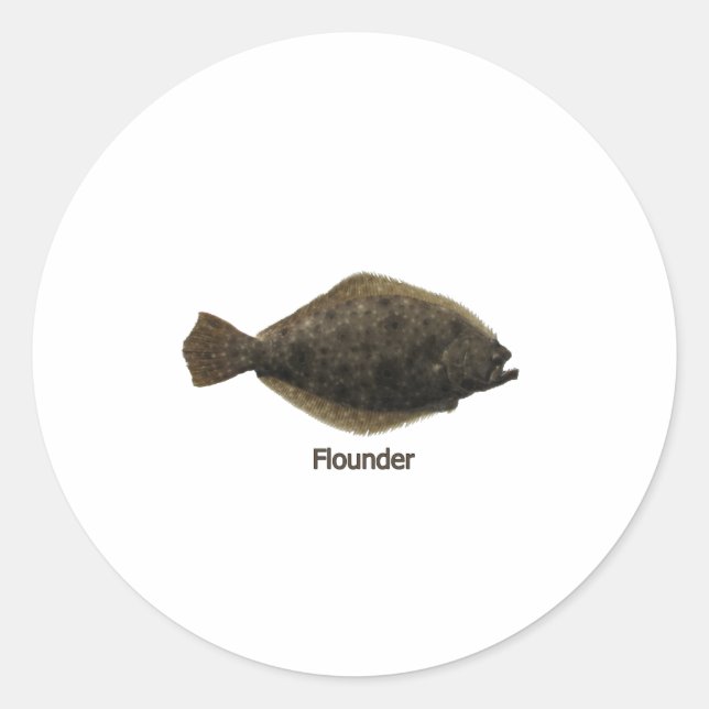 Summer Flounder (titled) Classic Round Sticker (Front)