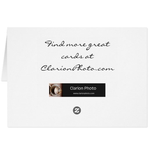 Summer flower box - blank card (Back Horizontal)