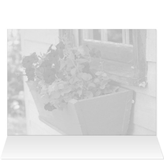 Summer flower box - blank card (Inside Horizontal (Top))