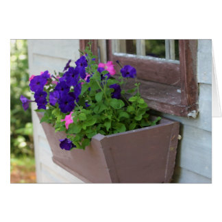 Summer flower box - blank card
