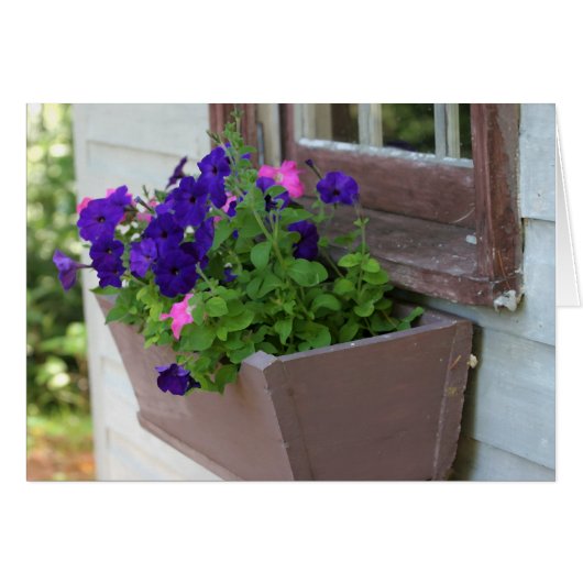 Summer flower box - blank card (Front Horizontal)