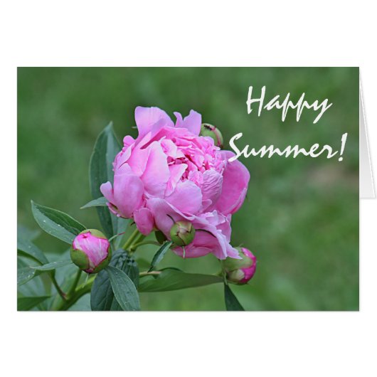 Summer flower photo cards (Front Horizontal)