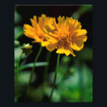 Summer Flowers 2 Photo Print<br><div class="desc">This beautiful floral photograph will add color and beauty to any room!</div>