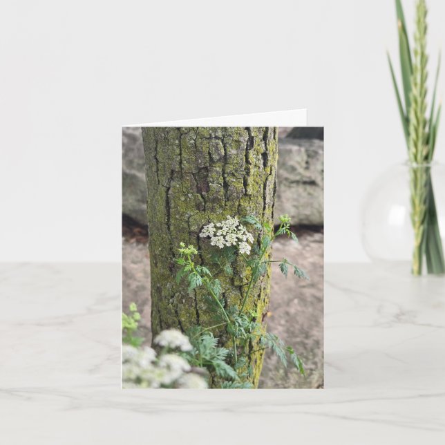 Summer flowers card (Front)