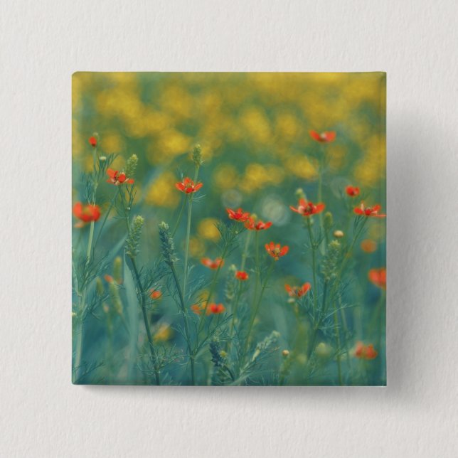 Summer Flowers (Floral Field) (Red Flowers) Button (Front)