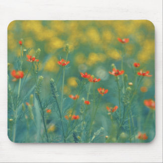 Summer Flowers (Floral Field) (Red Flowers) Mouse Pad