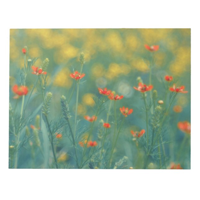 Summer Flowers (Floral Field) (Red Flowers) Notepad (Front)
