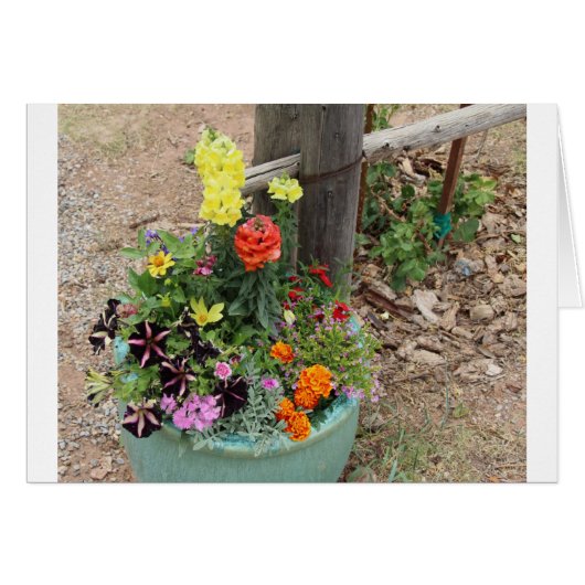 Summer Flowers in Turquoise Pot (Front Horizontal)