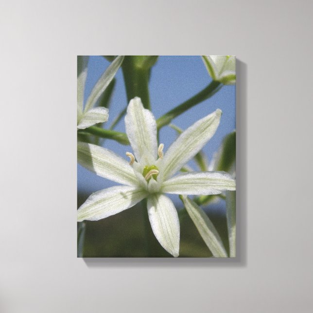 Summer Flowers Wrapped Canvas Print (Front)
