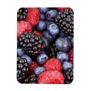 Summer Fruit Berries Magnet