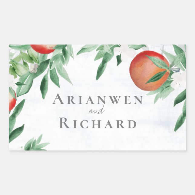 summer fruit envelope sticker (Front)