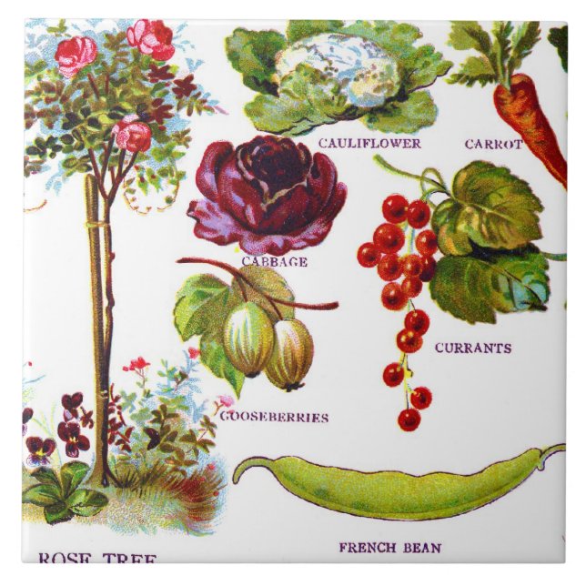 Summer Garden Botanicals Ceramic Tile (Front)