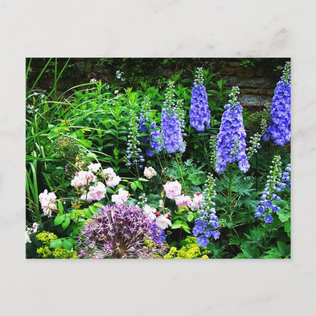 Summer Garden Postcard (Front)