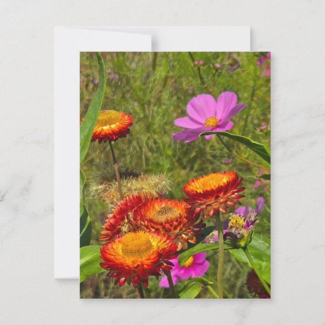 Summer Garden RSVP Card (Front)