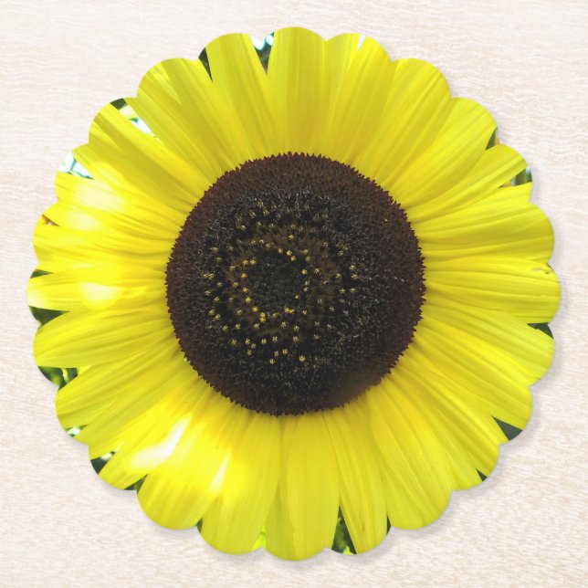 Summer Garden Sunflower Paper Coaster (Front)