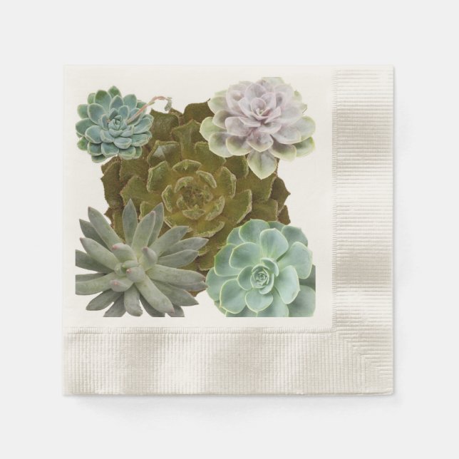 Summer Garden Wedding, Hens and Chicks, Succulents Napkins (Front)