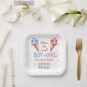 Summer Gender Reveal Ice Cream Pink Blue Paper Plates